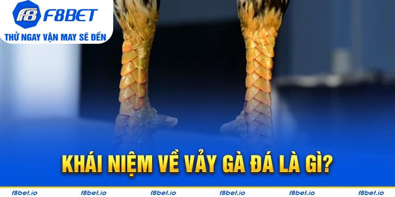 Khái niệm về vảy gà đá